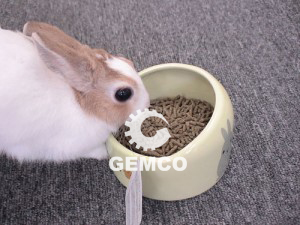 ʳw